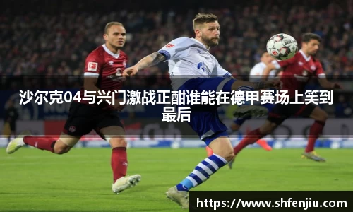 沙尔克04与兴门激战正酣谁能在德甲赛场上笑到最后